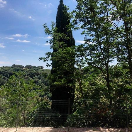 La Casa All'Oliveto Pitigliano Luaran gambar