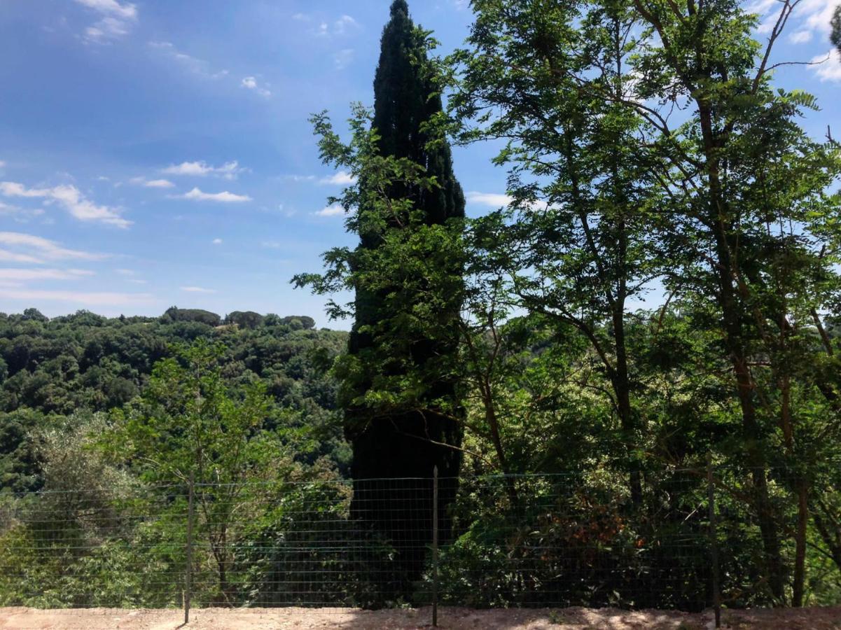 La Casa All'Oliveto Pitigliano Luaran gambar